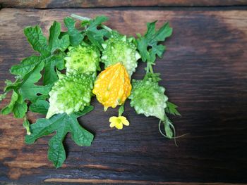 High angle view of green leaves on table