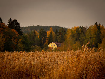 Trees on field against sky during autumn