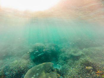 Aerial view of sea