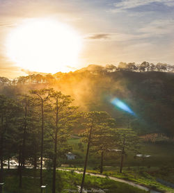 Scenic view of forest against sky during sunset