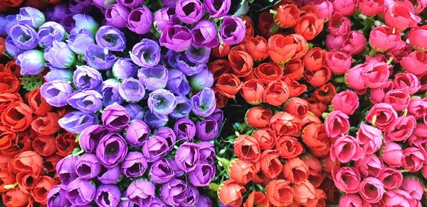 Full frame shot of multi colored pink flowers for sale