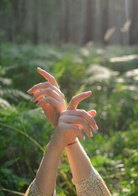 Close-up of woman hand holding plant in forest