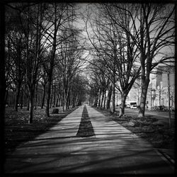 Road passing through trees