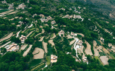 High angle view of trees and buildings in city