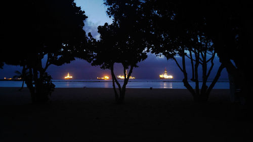 Silhouette trees on beach at night