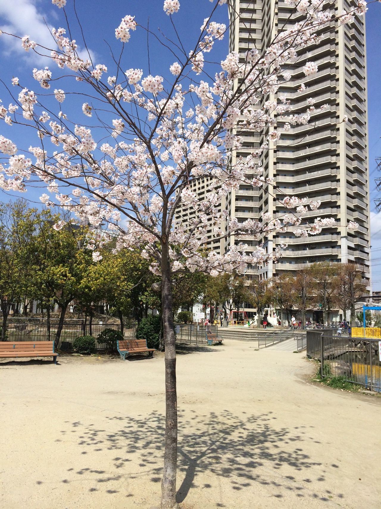 楠葉中央公園