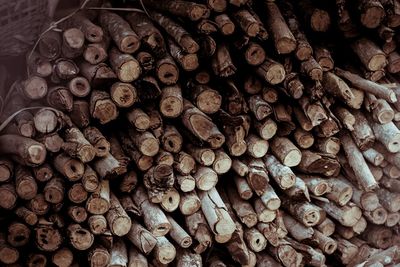 Full frame shot of logs in forest