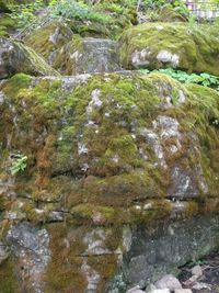 Full frame shot of stream flowing through rocks