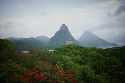 View of piton mountains floating upon the caribbean sea.