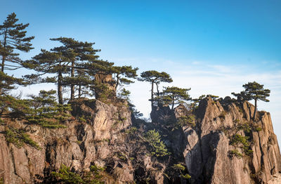 Panoramic view of trees and rocks against sky