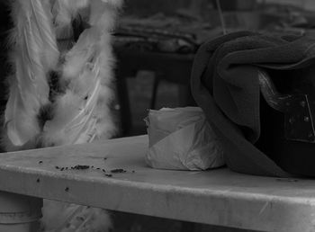 Close-up of feather on table