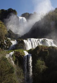 View of waterfall in forest