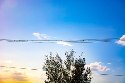 Low angle view of birds on cable against sky