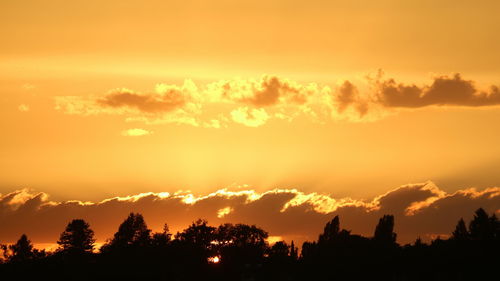 Silhouette trees against orange sky