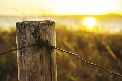 Close-up of wooden post