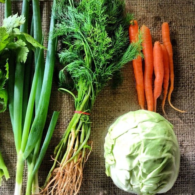 indoors, vegetable, green color, healthy eating, freshness, high angle view, food and drink, food, basket, still life, for sale, variation, choice, close-up, plant, raw food, organic, retail, abundance, market