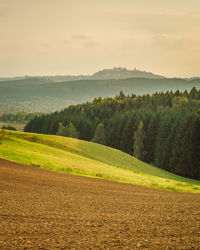 Scenic view of agricultural field against sky