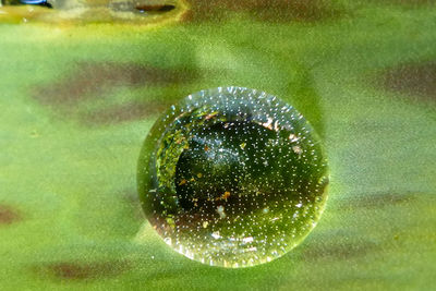 Close-up of water drops on ball