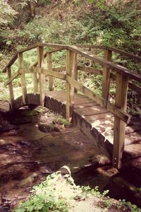 Footbridge in forest