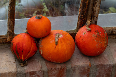 Close-up of oranges