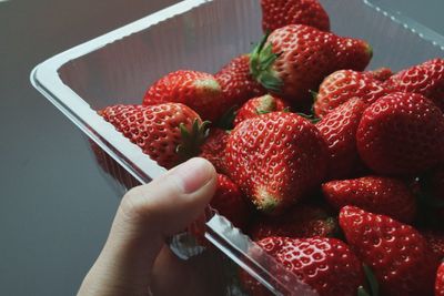 Close-up of hand holding strawberries in container