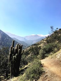 Scenic view of mountains against clear blue sky