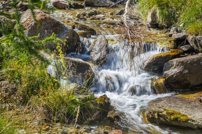 A small alpine stream near the dolomites, in passo pennes, in the province of bolzano, italy.