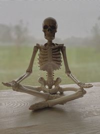 Close-up of human skull on table
