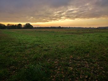 Scenic view of field against sky during sunset