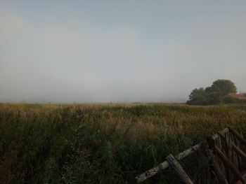 Scenic view of field against clear sky