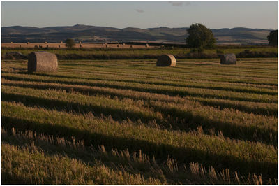 Hay bales on field against sky