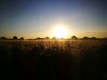 Scenic view of field against sky during sunset