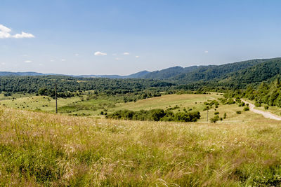 Scenic view of landscape against sky