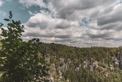 Panoramic view of trees on landscape against sky