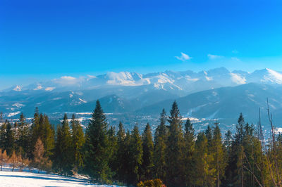 Scenic view of mountains against sky during winter