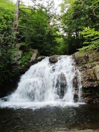 Waterfall in forest