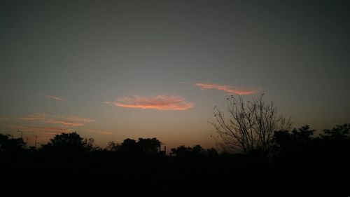 Silhouette trees against sky during sunset