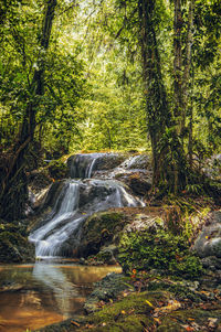 Waterfall in forest