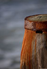 Close-up of wooden plank against sea