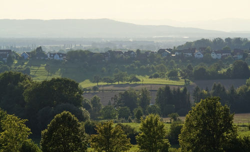 High angle view of trees on landscape against sky