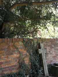 Low angle view of tree by wall of building