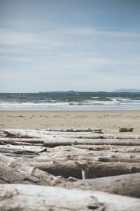 Scenic view of beach against sky