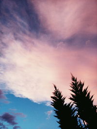 Low angle view of silhouette trees against sky