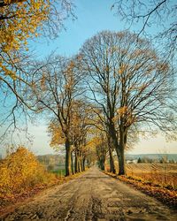 Road amidst bare trees during autumn