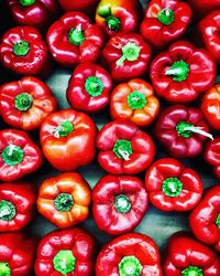 Full frame shot of tomatoes for sale at market