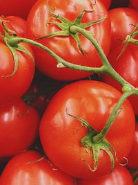 Full frame of red bell peppers