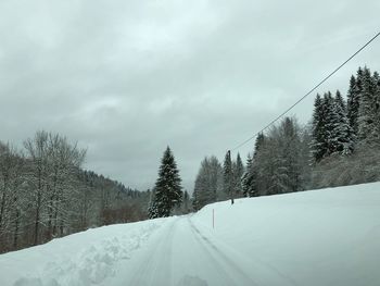 Snow covered trees against sky