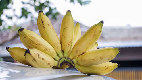 Close-up of fruit on table