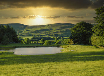 Scenic view of landscape against sky