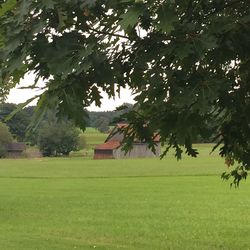 Houses on field